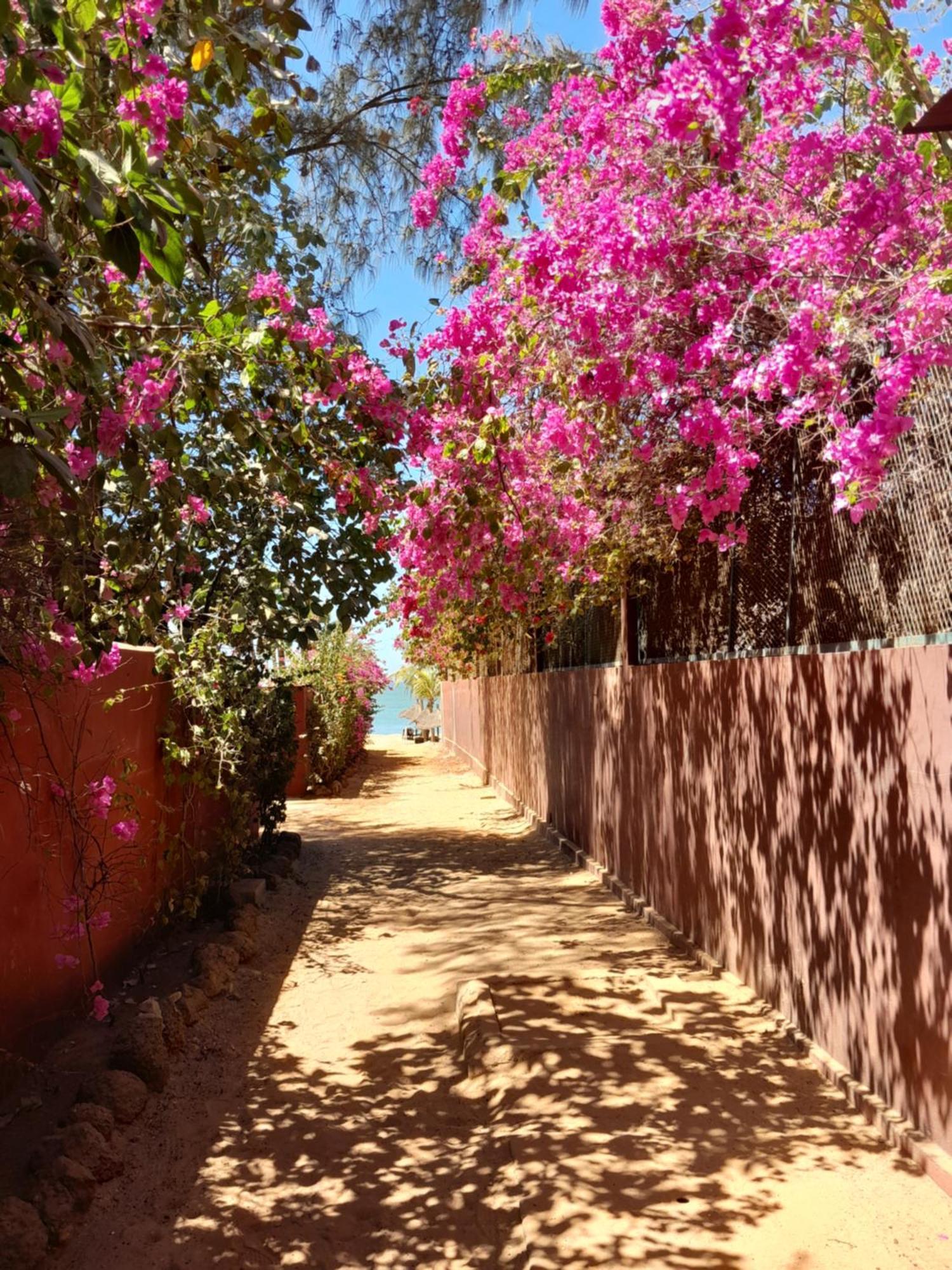 דירות סאלי פורטודל L'Eden מראה חיצוני תמונה